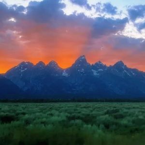 Meet your Posher, Ethan